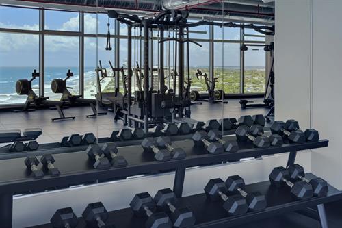 Max Beach Resort Technogym Free Weights 12th floor