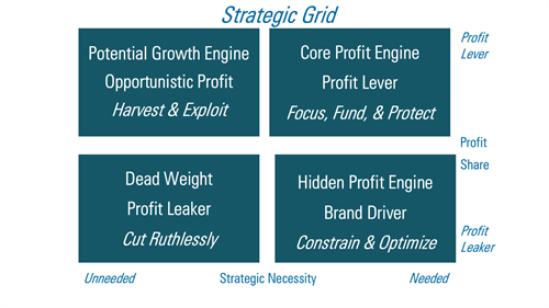 Level 2 of ProfitFocus: Strategic Grid