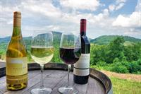 BBBS A Taste of the Vineyard
