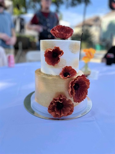 Gallery Image 774fe9bf470170cb013846915140efea.jpeg