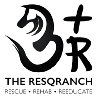 Aspen Park Vet Hospital & the ResqRanch