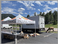 The Evergreen Farmers' Market - The Original!