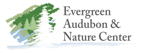 Evergreen Audubon and Nature Center