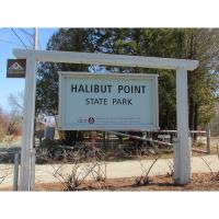 Snakes of Massachusetts and the World!-Halibut Point State Park