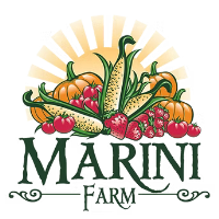 Marini Farm Corn Maze Adventures 2026!