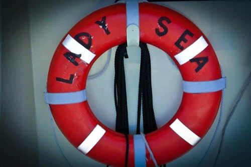 Gallery Image 605123803_1453580633435249_8870109369214388619_n.jpg