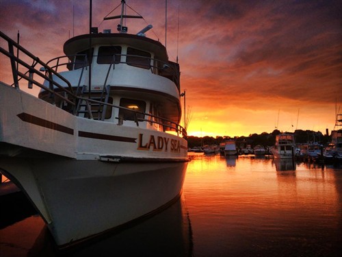 Gallery Image 616827403_1473158751477437_652471254702576964_n.jpg