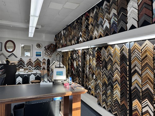 Large Frame Sample Collection 