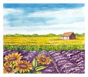 La Provence La Provence
