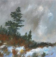 Bethany Peck's Solo Show at the Rockport Art Association and Museum