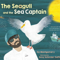 The Seagull and the Sea Captain - Public Sail