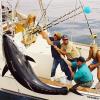 Tuna Hunter Fishing Charters