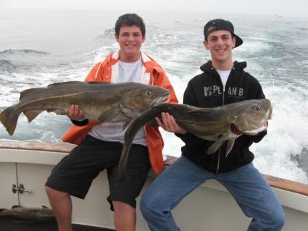 Tasty Cod, back in the day! Cod and Haddock charters