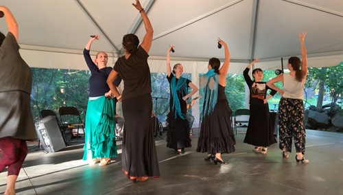 Gallery Image flamenco_5.jpg