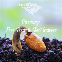Giveaway: Free Veggie Seeds to Start Indoors