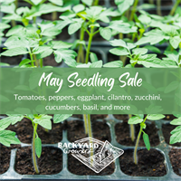 May Seedling Sale