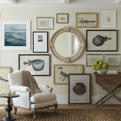 Using a natural history theme on your wall