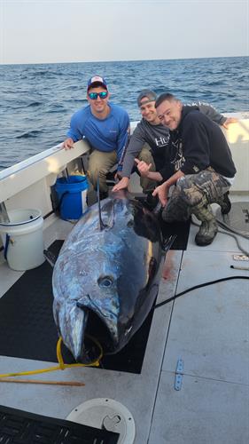 600 pound giant tuna