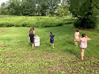 Meadow Mission: Eco-Explorers and Wildflower Seed Balls at the Ipswich Museum