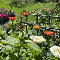 Cuvilly Arts & Earth Center