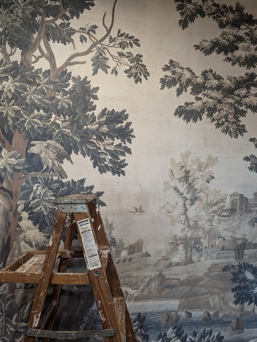 Wallpaper Sourcing, Selection & Installation 