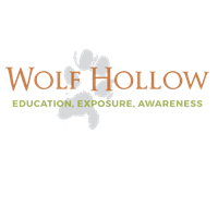 Wolf Hollow 