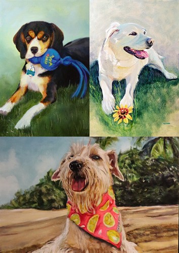 Pet Portraits 