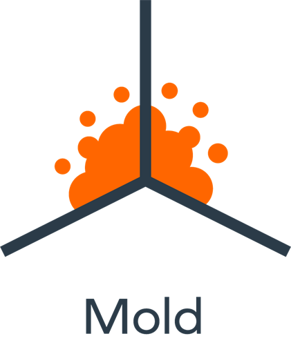 Gallery Image Mold_Dark.png