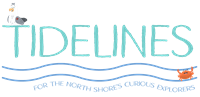 Tidelines Magazine