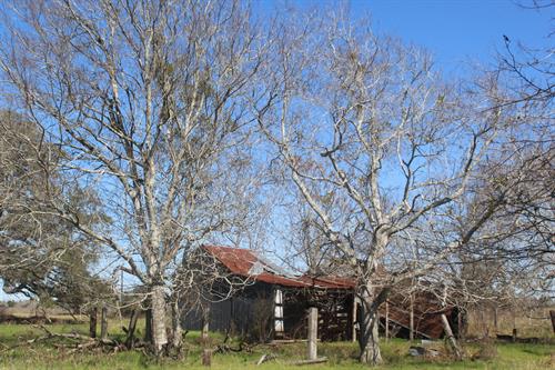 Gallery Image IMG_0887.JPG