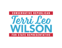 State Representative Terri Leo Wilson