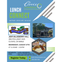 Lunch Connect- Jeb's Blueberry Hill