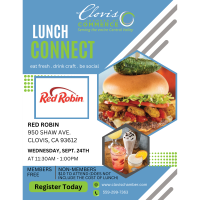 Lunch Connect- Red Robin