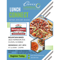 Lunch Connect - Mountain Mikes