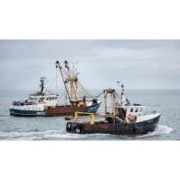 Brexit and Commercial Fishermen: FREE up-to-date Legislation & Documentation Training