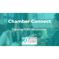 Chamber Connect November 2020