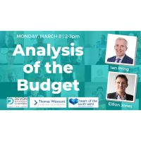 Analysis of the Budget - Panel session