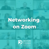 Networking on Zoom