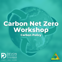 Carbon Net Zero Workshop 2 - Carbon Policy