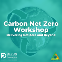 Carbon Net Zero Workshop 4 - Delivering Net Zero and Beyond