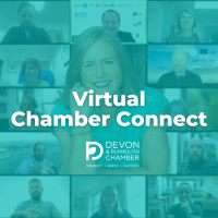 Virtual Chamber Connect