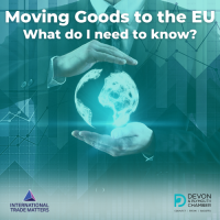 Moving Goods to the EU – what do I need to know?
