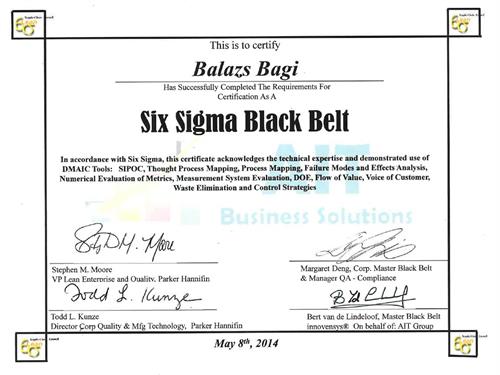 Balazs Bagi - 6 Sigma Black Belt Certificate