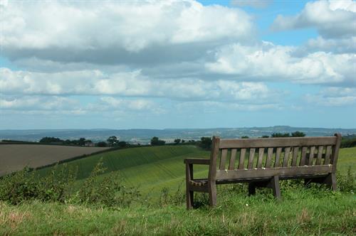 Gallery Image Bench_looking_out_over_rural_Devon.JPG
