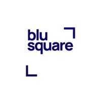 Blu Square Consulting Ltd
