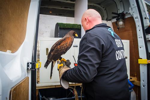 Our qualified falconer works in harmony with the natural instincts of our magnificent birds of prey