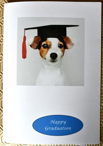One of our selection of Graduation Cards. A sleeve on the inside has tactile artwork of the front picture. As seen on our website