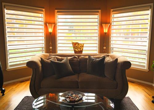 Pirouette Sheer Shades: Roller with Flat & Looped Roman as well as Floating Shutter Louver positions!