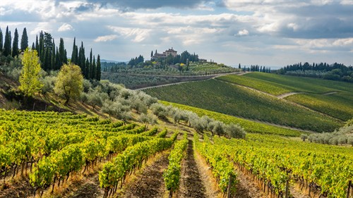 Gallery Image RMartello-ChiantiRegion-unsplash.jpg