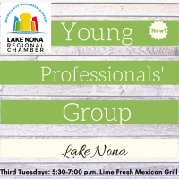 Young Professionals Group Meeting - No Meeting in December